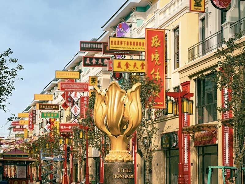Tour  HONGKONG FREEDAY